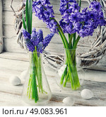 Cut branches of hyacinths in glass flask.Photography in a light tone. Still life with hyacinths. Стоковое фото, агентство Ingram Publishing / Фотобанк Лори