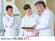 Tutor showing wallpaper brush to trainees. Стоковое фото, агентство Ingram Publishing / Фотобанк Лори
