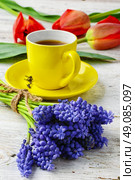 flowers and tea . Yellow cup of tea on saucer and bunch of hyacinths. Стоковое фото, агентство Ingram Publishing / Фотобанк Лори