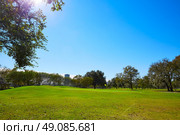 Houston Hermann park conservancy green grass in Texas. Стоковое фото, агентство Ingram Publishing / Фотобанк Лори