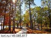 Houston Hermann park conservancy track at autumn in Texas. Стоковое фото, агентство Ingram Publishing / Фотобанк Лори