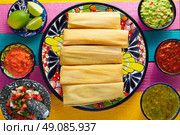 Tamale with corn leaf and sauces guacamole pico de gallo. Стоковое фото, агентство Ingram Publishing / Фотобанк Лори