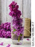 lilacs in vase. Стоковое фото, агентство Ingram Publishing / Фотобанк Лори