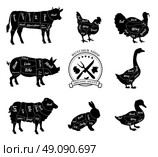 Set a schematic view of animals for butcher shop. Cow and pork, cattle and pig, chicken and lamb, beef and rabbit, duck and swine, goose and turkey, meat illustration. Vector meat cuts. Стоковая иллюстрация, агентство Ingram Publishing / Фотобанк Лори
