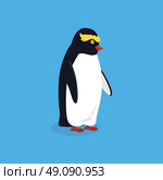 Animal penguin design flat. Bird penguin vector, cartoon polar animal winter isolated, wild penguin character illustration. Стоковая иллюстрация, агентство Ingram Publishing / Фотобанк Лори