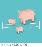 Isometric pig with piglets isolated. Pig family animal farm with litttle piglet, funny drawing livestock farm boar or big swine, 3d funny cute pig with pigling stand near fence. Vector illustration. Стоковая иллюстрация, агентство Ingram Publishing / Фотобанк Лори