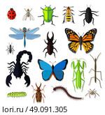 Set of various insects design flat. Bug and butterfly, ant and bee, spider and fly, ladybug and dragonfly, grasshopper wildlife, creature cockroach isolated on white background. Vector illustration. Стоковая иллюстрация, агентство Ingram Publishing / Фотобанк Лори
