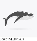 Black Whale Isolated on White Background. Black monochrome whale isolated on white background. Largest animal in world. Huge creating floating in the ocean or the sea. Big mammal whale with tail and fin living in water. Vector illustration. Стоковая иллюстрация, агентство Ingram Publishing / Фотобанк Лори