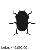 Protaetia May Bug Insect Design Flat. Protaetia may bug insect design flat. Small insect chafer with black legs and antennae and black wings folding in the shell. Wildlife creating isolation on white background. Vector illustration. Стоковая иллюстрация, агентство Ingram Publishing / Фотобанк Лори