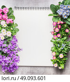 Notebook with garden flowers in pots on stone background, top view. Gardening frame. Стоковое фото, агентство Ingram Publishing / Фотобанк Лори