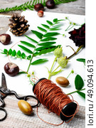 Herbarium of field of wild foliage. Herbarium applique with field of wild flowers and plants on white background. Стоковое фото, агентство Ingram Publishing / Фотобанк Лори