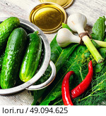 Preparing to pickle fresh cucumbers with dill,garlic and spices. Стоковое фото, агентство Ingram Publishing / Фотобанк Лори