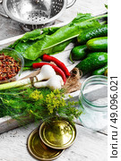 yield of cucumber,pepper,spices and fennel for pickling. Стоковое фото, агентство Ingram Publishing / Фотобанк Лори