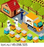 Isometric honey bee apiary with beekeeper design flat. 3D Beekeeping work, sweet honey, farm natural honey, 3d beekeeper collect eco honey, bee fly for honey on apiary, beemaster job, collect honey. Стоковая иллюстрация, агентство Ingram Publishing / Фотобанк Лори