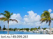 Key West Florida marina in Garrison Bight of Florida USA. Стоковое фото, агентство Ingram Publishing / Фотобанк Лори