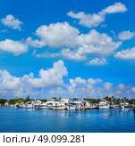 Key West Florida marina in Garrison Bight of Florida USA. Стоковое фото, агентство Ingram Publishing / Фотобанк Лори