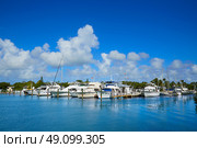 Key West Florida marina in Garrison Bight of Florida USA. Стоковое фото, агентство Ingram Publishing / Фотобанк Лори