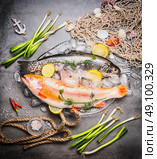 Variety of  Great raw trout fish in glass dish with ice cubes on concrete background with fishing net and flavoring, top view. Seafood cooking. Стоковое фото, агентство Ingram Publishing / Фотобанк Лори