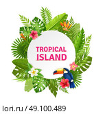 Tropical Island Flora And Toucan Frame . Tropical island decorative circular frame design with toucan bird in succulent rainforest plants flowers colorful vector illustration. Стоковая иллюстрация, агентство Ingram Publishing / Фотобанк Лори