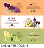 Wine Degustation Horizontal Banners. Wine horizontal banners set with red and white varieties and advertising of degustation hall flat vector illustration. Стоковая иллюстрация, агентство Ingram Publishing / Фотобанк Лори