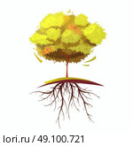 Tree With Root Retro Cartoon Illustration.  Single autumn tree with root on white background retro cartoon flat isolated vector illustration. Стоковая иллюстрация, агентство Ingram Publishing / Фотобанк Лори