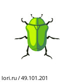 Protaetia May Bug Insect Design Flat. Protaetia may bug insect design flat. Small insect chafer with black legs and antennae and bright green wings folding in the shell. Wildlife creating isolation on white background. Vector illustration. Стоковая иллюстрация, агентство Ingram Publishing / Фотобанк Лори