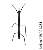 Stick Insect or Phasmids Icon. Stick insect or phasmids or ghost insects or walking sticks isolated on white. Stick-bugs engraved vector illustration. Стоковая иллюстрация, агентство Ingram Publishing / Фотобанк Лори
