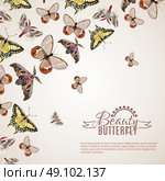 Butterfly Realistic Background . Beautiful butterfly decorative background with different moths and machaons vector illustration . Стоковая иллюстрация, агентство Ingram Publishing / Фотобанк Лори