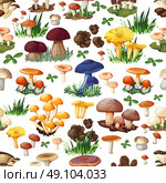 Mushroom Seamless Pattern. Mushroom seamless pattern with forest wild species  so as suillus puffball russula chanterelle shiitake morel truffle honey fungus cartoon vector illustration. Стоковая иллюстрация, агентство Ingram Publishing / Фотобанк Лори