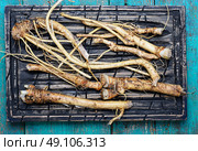 roots of plant horseradish. Kitchen plaque with the roots horseradish.View top. Стоковое фото, агентство Ingram Publishing / Фотобанк Лори