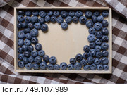 berries Blueberry. Стоковое фото, агентство Ingram Publishing / Фотобанк Лори