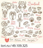 Set drawings of seafood for design menus, recipes, packaging and advertising. Shrimp, crab, mussels, squid, octopus, lobster, crayfish, scallops sea cucumbers oysters langoustine barnacle Vector illustration. Стоковая иллюстрация, агентство Ingram Publishing / Фотобанк Лори