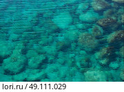 Clear sea water with pebbles. Стоковое фото, агентство Ingram Publishing / Фотобанк Лори