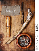 drug elecampane root. Root medicinal perennial plants nard that has healing properties. Стоковое фото, агентство Ingram Publishing / Фотобанк Лори