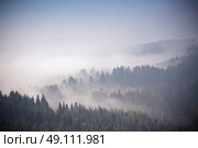 Autumn September foggy morning in Carpathian mountains. Стоковое фото, агентство Ingram Publishing / Фотобанк Лори