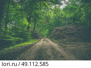 Muddy forest trail with stacks of wood by the road. Стоковое фото, агентство Ingram Publishing / Фотобанк Лори