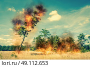 Tree on fire on a dry field in the summer. Стоковое фото, агентство Ingram Publishing / Фотобанк Лори