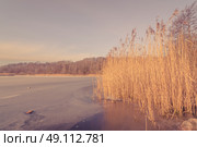 Frozen lake with tall reeds in the morning. Стоковое фото, агентство Ingram Publishing / Фотобанк Лори