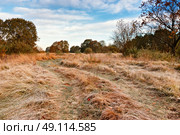 First autumn frosts. Road in the meadow in Belarus. Стоковое фото, агентство Ingram Publishing / Фотобанк Лори