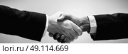 A black and white photo showing two men shaking hands in a formal gesture of agreement or greeting. Стоковое AI-изображение, AI-художник Данила Большаков / Фотобанк Лори