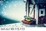 Titmouse sitting on bird feeding trough in a house  and looking at camera on the background of a winter snowfall, outdoor. Стоковое фото, агентство Ingram Publishing / Фотобанк Лори