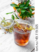 Linden herbal tea. glass of tea brewed with therapeutic Linden. Стоковое фото, агентство Ingram Publishing / Фотобанк Лори