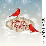 Christmas background with two cardinal birds and white fir branch. Merry Christmas lettering. Стоковая иллюстрация, агентство Ingram Publishing / Фотобанк Лори