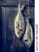 Two raw dorado fishes hanging on rope at dark rustic wooden background, place for text, retro styled. Стоковое фото, агентство Ingram Publishing / Фотобанк Лори
