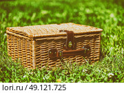 Picnic Basket Hamper With Leather Handle In Green Grass. Стоковое фото, агентство Ingram Publishing / Фотобанк Лори