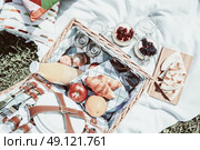 Picnic Basket With Fruits, Orange Juice, Croissants, Quesadilla And No Bake Blueberry And Strawberry Jam Cheesecake. Стоковое фото, агентство Ingram Publishing / Фотобанк Лори