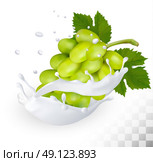 Green grape in a milk splash on a transparent background. Vector. Стоковая иллюстрация, агентство Ingram Publishing / Фотобанк Лори