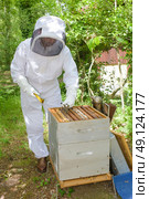 apiary work career. Стоковое фото, агентство Ingram Publishing / Фотобанк Лори