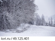 Snowfall and sleet on winter road. Ice snowy road. Winter snowstorm. Black ice and blizzard. Стоковое фото, агентство Ingram Publishing / Фотобанк Лори