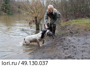 Girl working her spaniel, across water, on a shoot. Стоковое фото, агентство Ingram Publishing / Фотобанк Лори